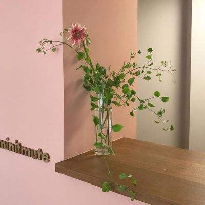 赏金女王官网正版下载