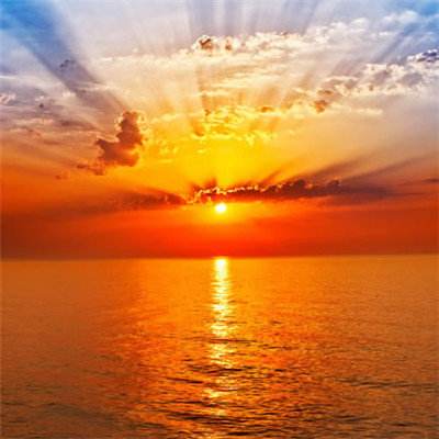 半岛手机网页版登录今日发布